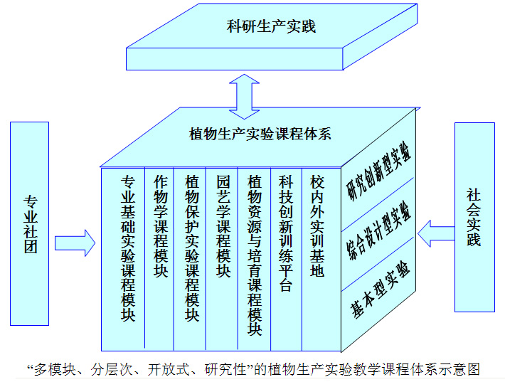 课程体系