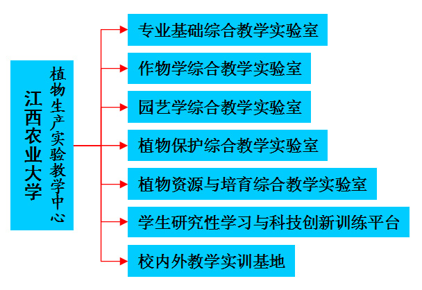 组织机构